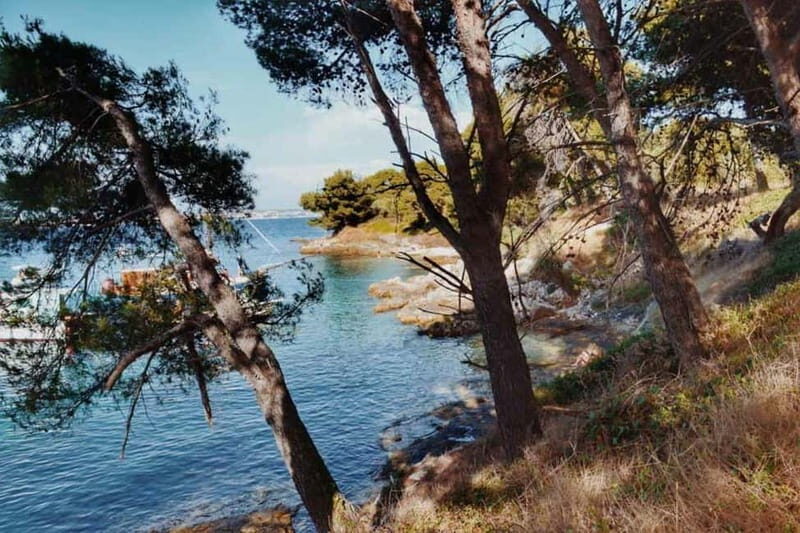 From Zadar: Adriatic Sea & Island Sailing Adventure - Who Will Love This Tour?