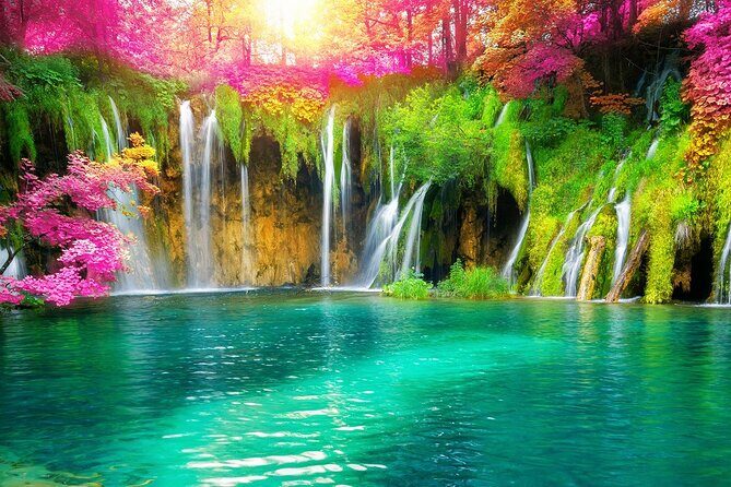 From Zadar: Full Day Private Tour to Plitvice Lakes National Park - A Closer Look at the Full-Day Private Tour to Plitvice Lakes