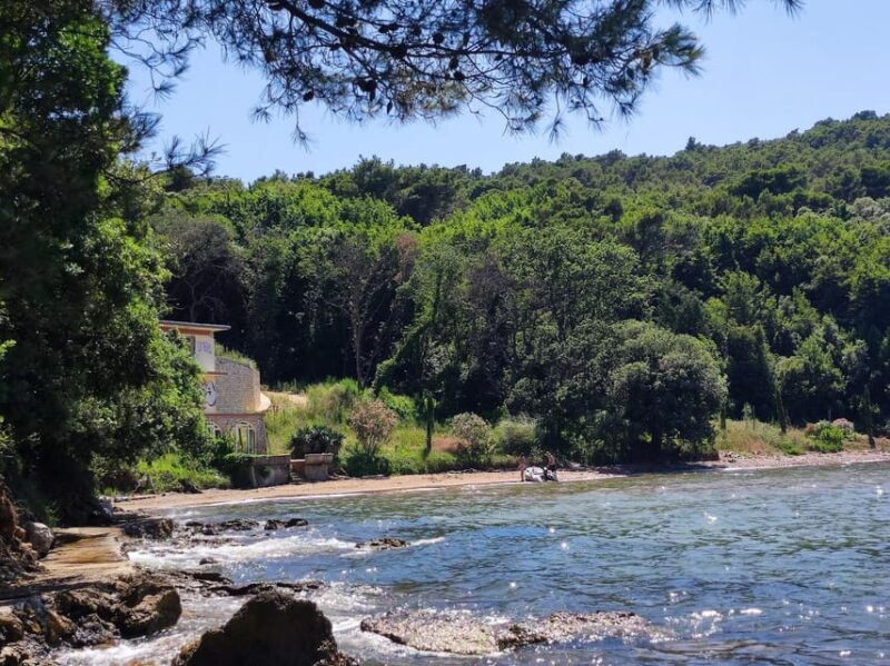 From Zadar: Half Day Island Tour Ugljan, Ošljak - Experience and Activities