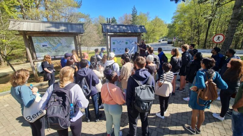 From Zadar: Krka Waterfalls Tour with Panoramic Boat Ride - Exploring the Krka Waterfalls from Zadar: An In-Depth Review