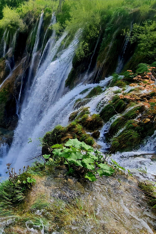 From Zadar: Plitvice Lakes Day Trip with Guide and Boat Tour - A Closer Look at the Experience