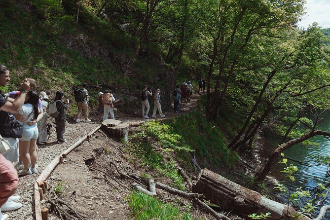 From Zadar: Plitvice Lakes with Boat Ride & Zadar Old town tour - What Travelers Say