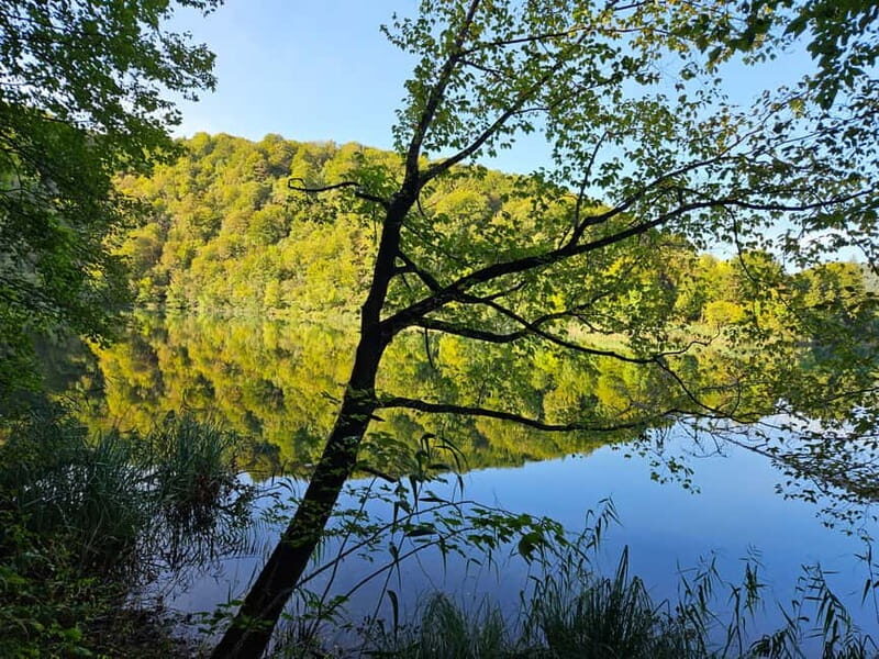 From Zadar: Scenic Private Tour of Plitvice Lakes - FAQs