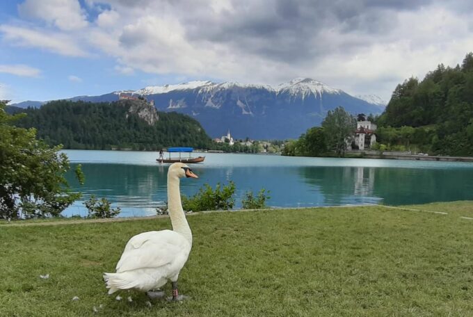 From Zagreb: Day Trip to Lake Bled and Ljubljana - Booking and Cancellation Policy