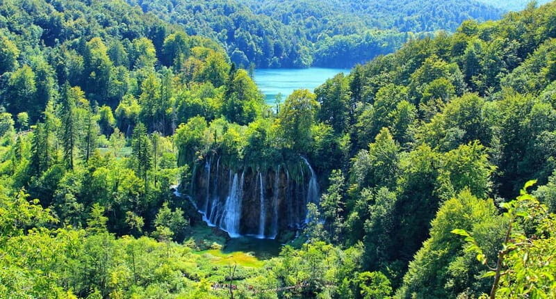 From Zagreb or Split: Plitvice Lakes Private Tour - An In-Depth Look at the Plitvice Lakes Private Tour