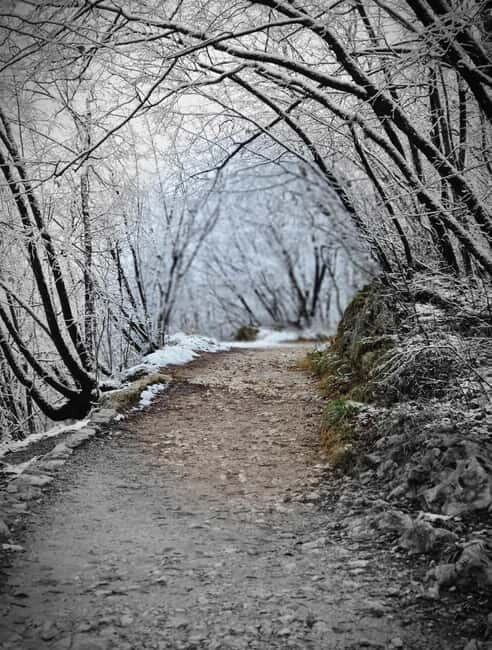 From Zagreb: Plitvice Lakes, Dubovac Castle, Rastoke - Key Points