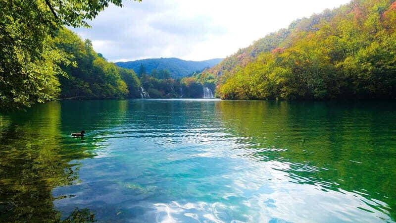 From Zagreb: Plitvice Lakes Guided Day Trip - The Sum Up