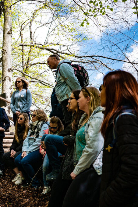 From Zagreb: Plitvice Lakes National Park Full-Day Tour - Customer Feedback