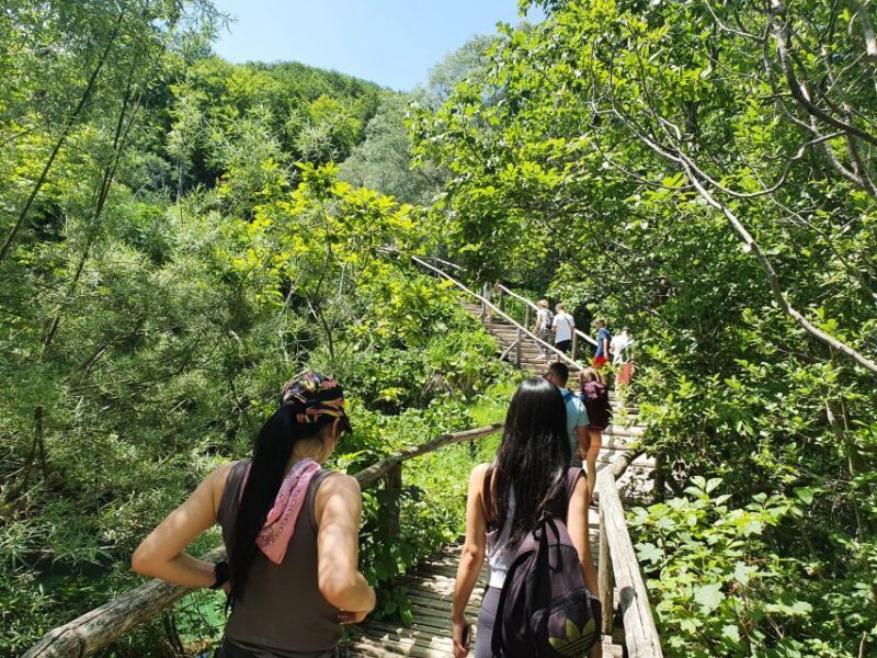 From Zagreb: Plitvice & Rastoke Guided Day Trip with Ticket - Practical Details and Value