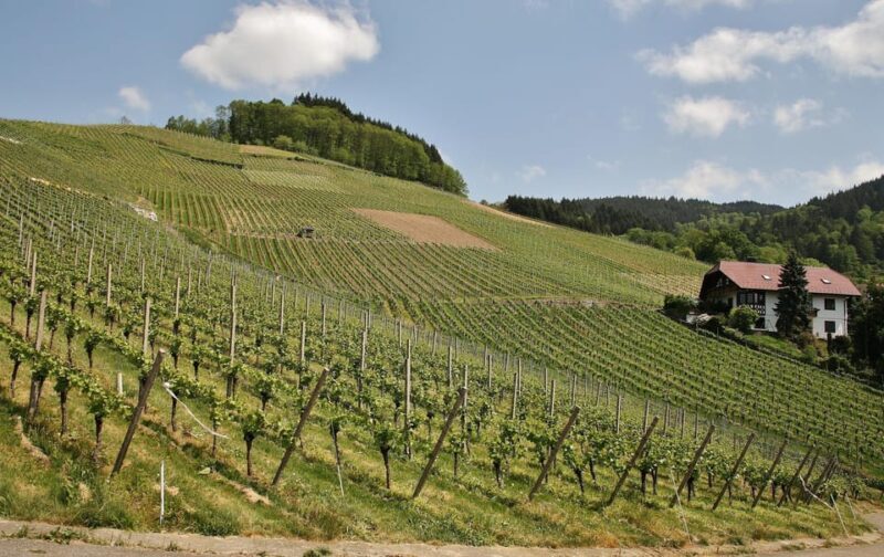 From Zagreb: Samobor Highlights & Wine Tasting in Pleivica - Who Should Consider This Tour?