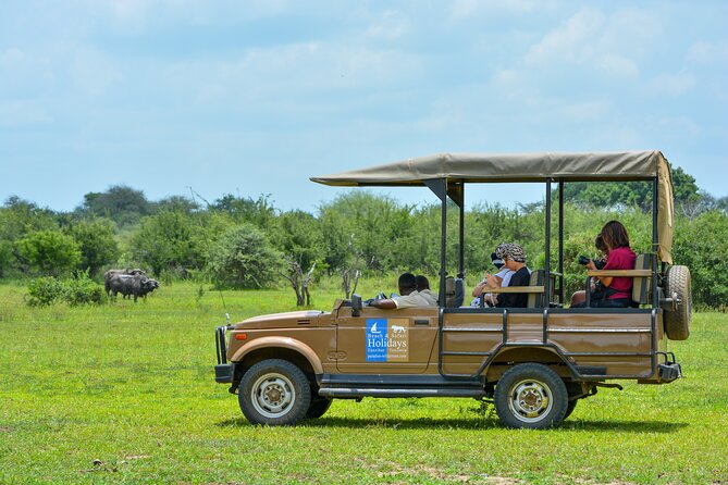 From Zanzibar: Selous Game Reserve Day Safari With Flights - Wildlife Sightings and Guides