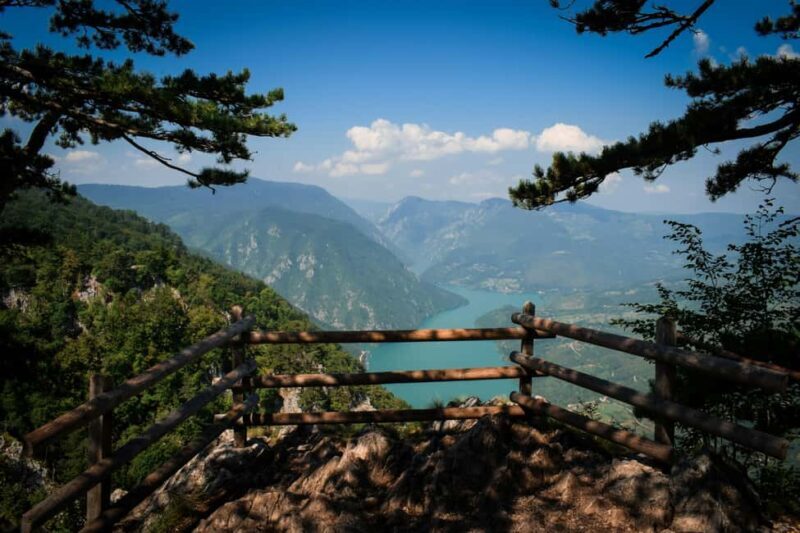 From Zlatibor/Uice: Tara National Park Adventure - The Value of the Tour