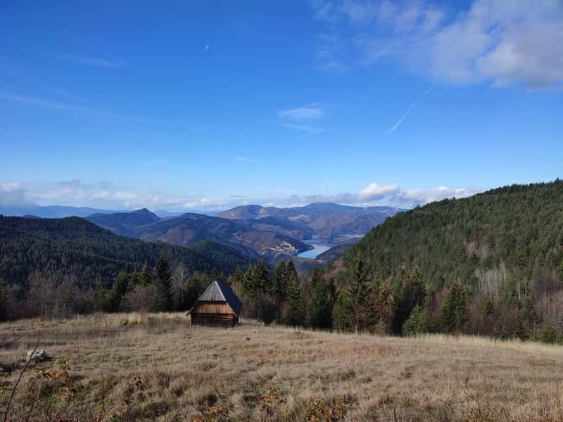 From Zlatibor/Uice: Tara National Park - Private Tour - Key Points