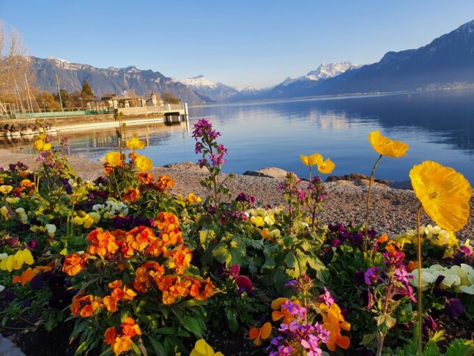 From Zurich: 7-Day Tour to Geneva With Tickets and Lodging - Day 2: Exploring Zurich, Rhine Falls, and Lucerne