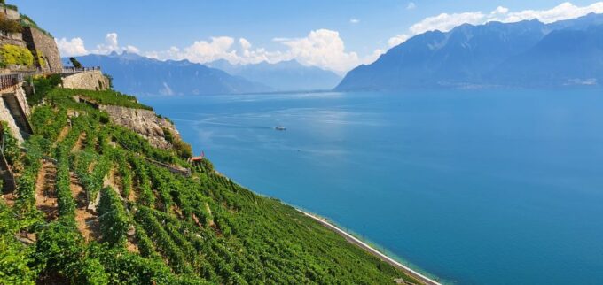 From Zurich: 8-Day Tour to Geneva With Tickets and Lodging - Booking Process and Options