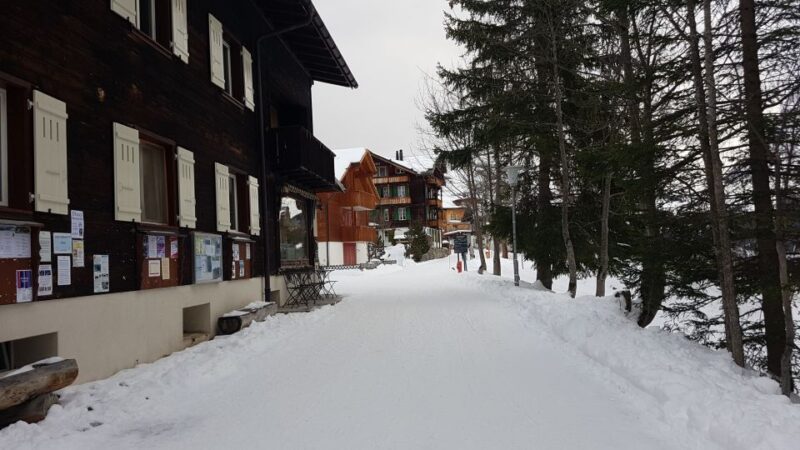 From Zürich: Exclusive Private Tour to Mt. Schilthorn - Exploring Bond World 007