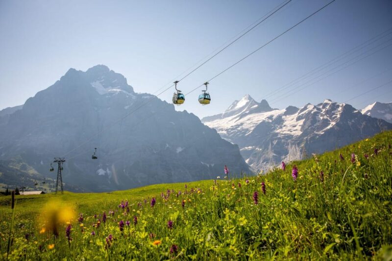 From Zurich: Grindelwald First Cable Car & Interlaken - Exploring Grindelwald Village