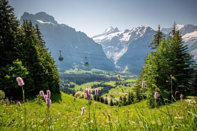 From Zurich: Grindelwald First Cable Car & Interlaken - Discovering Interlaken