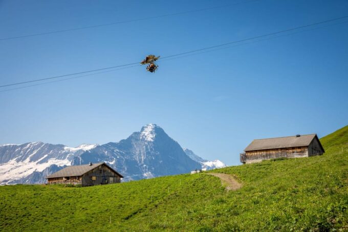 From Zurich: Grindelwald First Cable Car & Interlaken - Ask Away