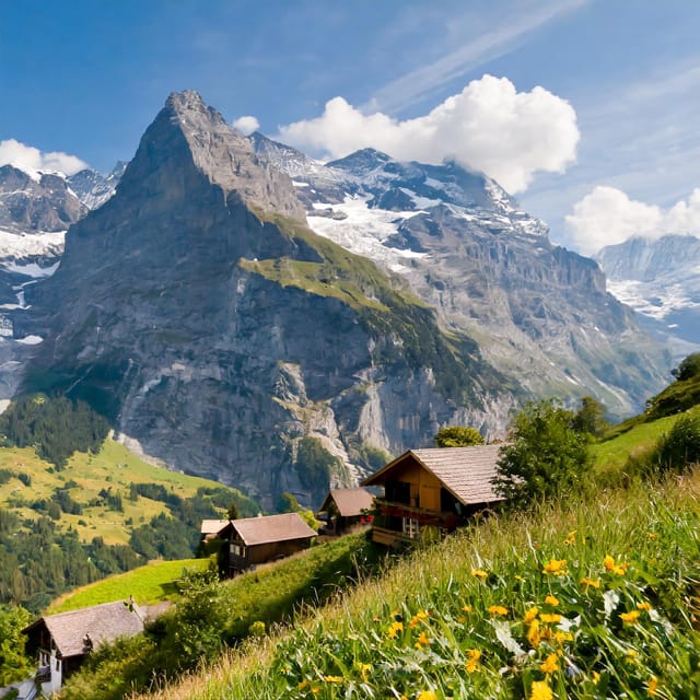 From Zurich: Interlaken and Grindelwald Private Day Tour - Ask Away