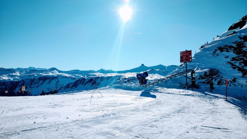 From Zurich Main Station: 4h Ski School for Beginners With Arrival - Ski Course Details