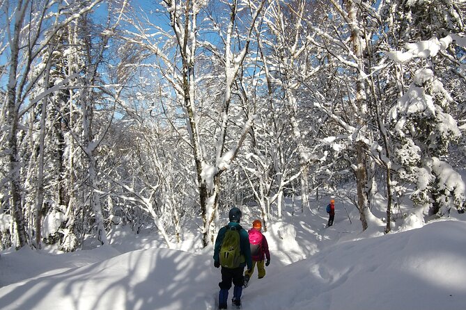 Frozen Fall Trekking - Positive Reviews
