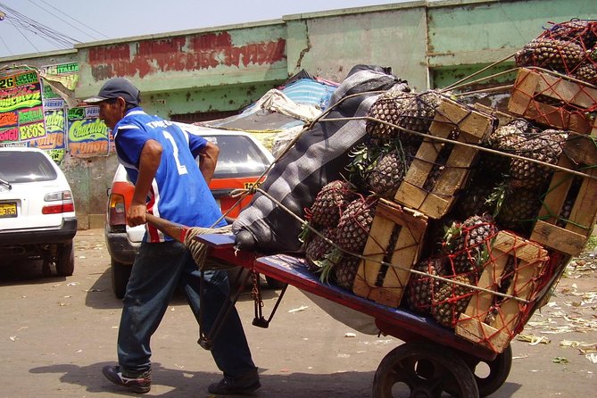 Fruit Kingdom - the Biggest Fruit Market of Lima - Booking and Cancellation Policy