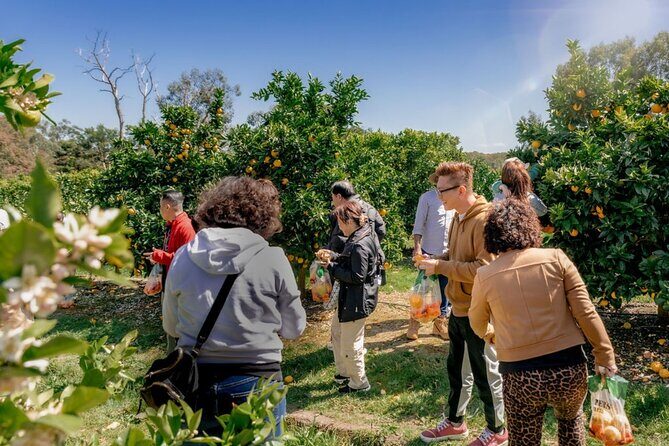 Fruit Picking & Nature Private Tour Yarra Valley & Warburton - What Travelers Say
