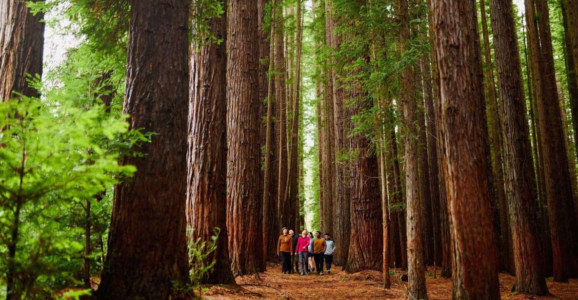 Fruit Picking & Nature Tour Yarra Valley & Warburton - Activity Description