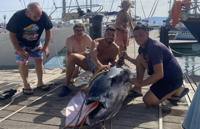 Fuengirola: 4h Trolling Fishing Trip With Snacks and Drinks - Itinerary and Target Species