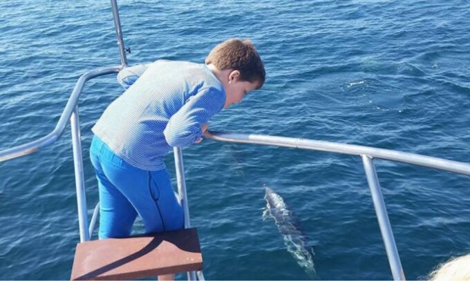 Fuengirola: Dolphin Spotting Yacht Tour With Drinks & Snacks - Customer Reviews
