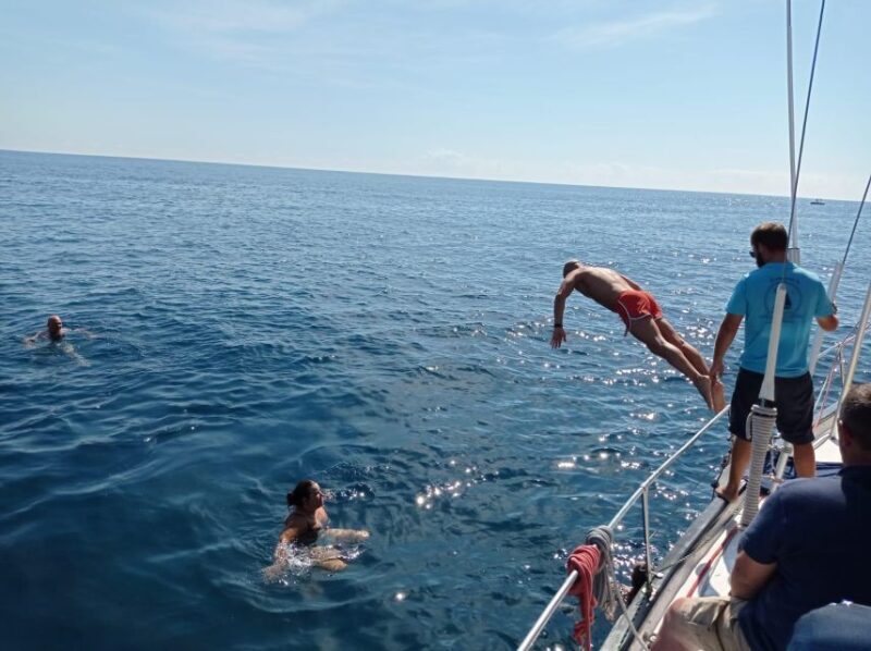 Fuengirola: Dolphin-Watching Sailing Tour with Drinks - An Overview of the Experience