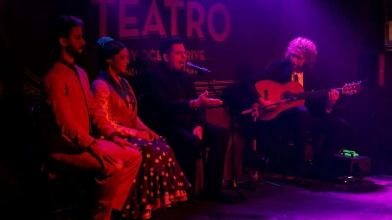 Fuengirola: Flamenco Show - What to Expect During the Show