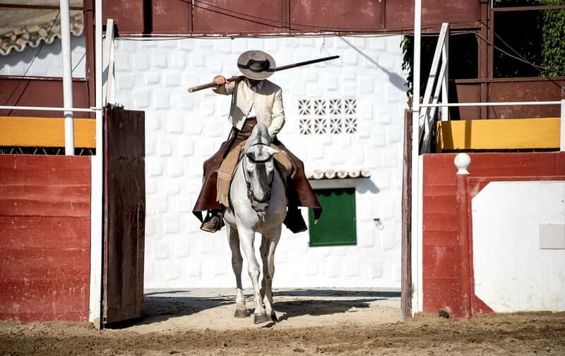 Fuengirola: Spanish Horse Show with Optional Dinner/Flamenco - An In-Depth Look at the Experience