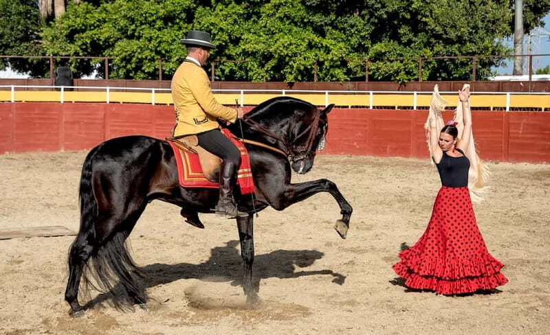Fuengirola: Spanish Horse Show with Optional Dinner/Flamenco - FAQs
