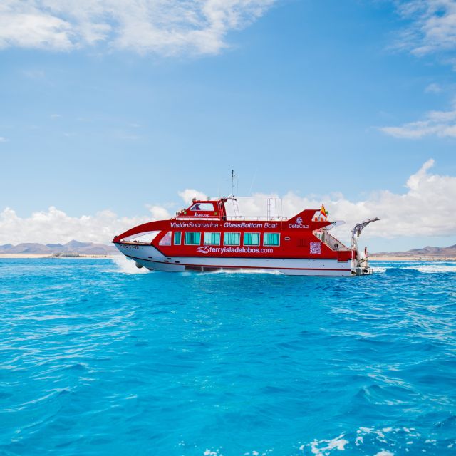 Fuerteventura: 1-Hour Mini Swim & Snorkel Cruise - Experience Highlights