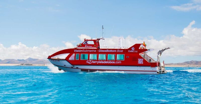 Fuerteventura: 1-Hour Mini Swim & Snorkel Cruise - Inclusions and Exclusions