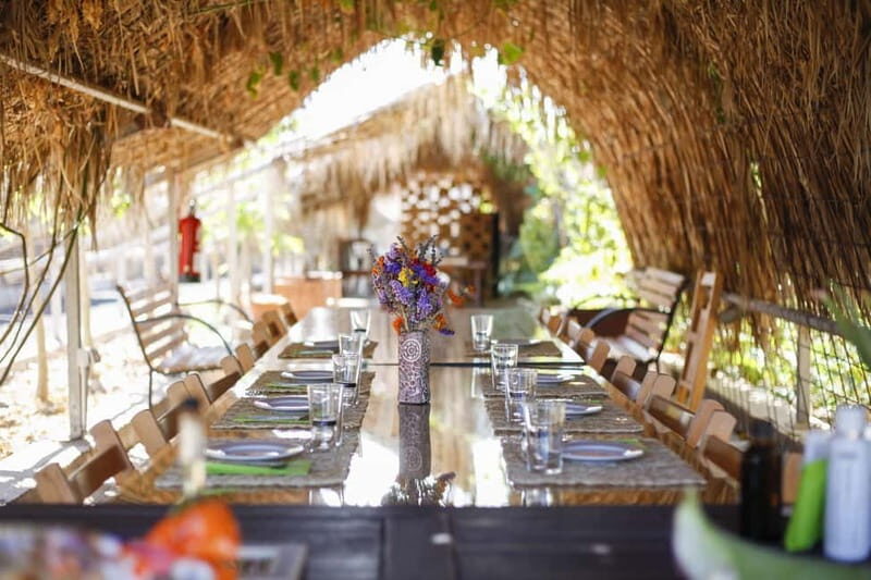 Fuerteventura Aloe & Olivo Tour with Optional Lunch - Savoring the Flavors of Fuerteventura