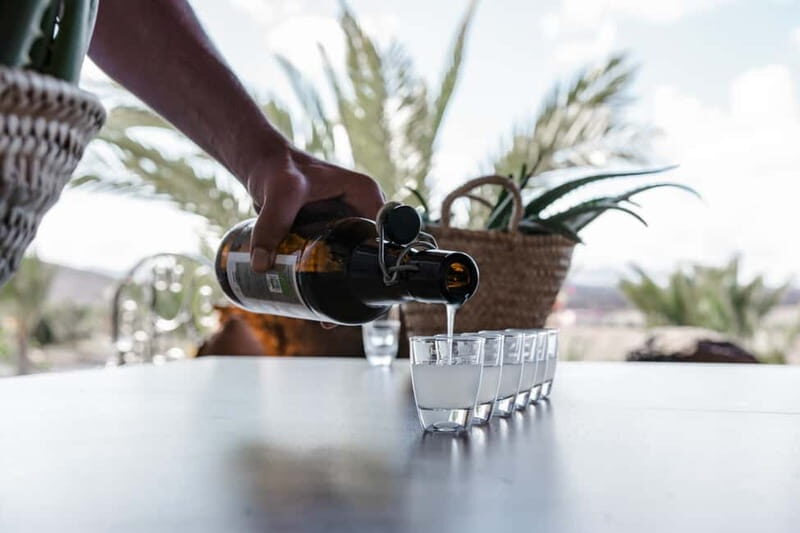 Fuerteventura Aloe & Olivo Tour with Optional Lunch - Spectacular Views and Relaxed Atmosphere