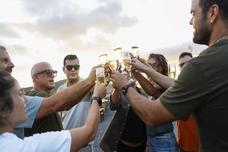Fuerteventura Aloe & Olivo Tour with Optional Lunch - Practical Details and Value