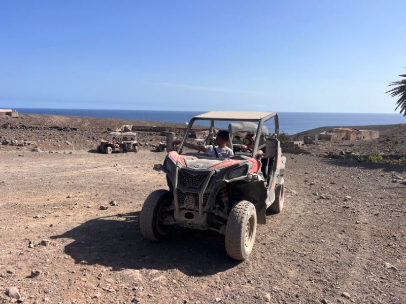 Fuerteventura: Buggy Tour in Punta De Jandía - Important Information