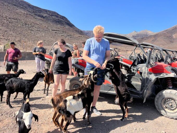 Fuerteventura: Buggy Tour in Punta De Jandía - Exploring Punta De Jandía