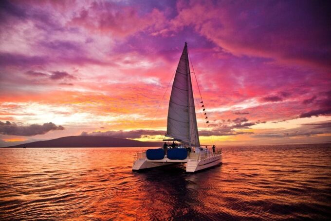 Fuerteventura: Catamaran Excursion to Lobos Island - Customer Feedback and Ratings
