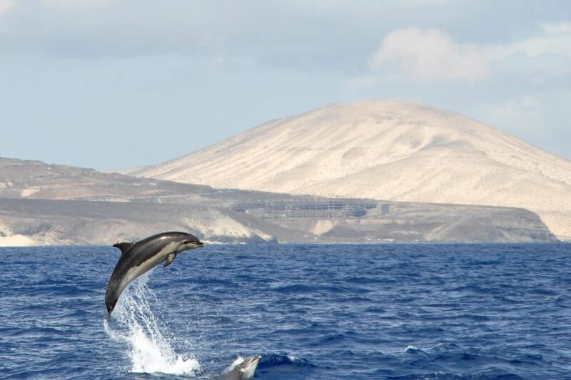 Fuerteventura: Catamaran Sailing Navigation. Maximum 10 People - Included in the Excursion