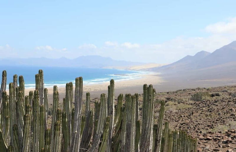 Fuerteventura: Cofete Safari - Introduction: An Adventure Into Fuerteventuras Untamed South