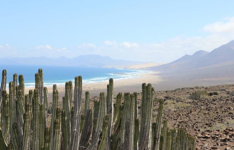 Fuerteventura: Cofete Safari - Key Points