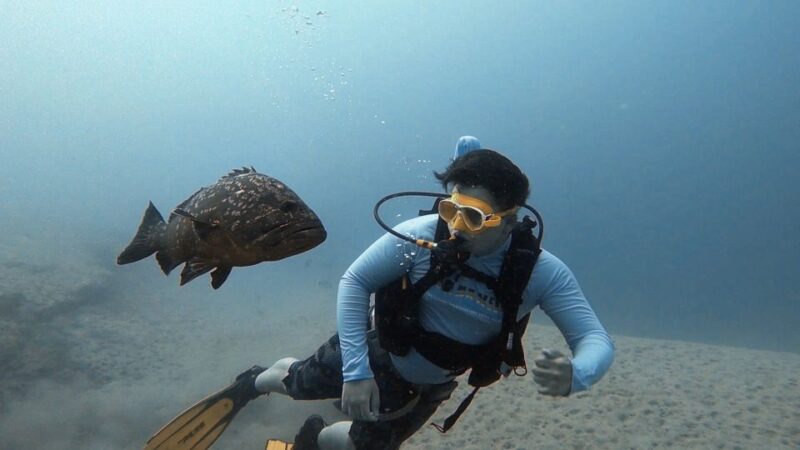 Fuerteventura: Discover Scuba Diving - Key Points
