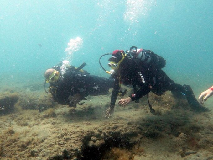 Fuerteventura: Discover Scuba Diving - Customer Reviews