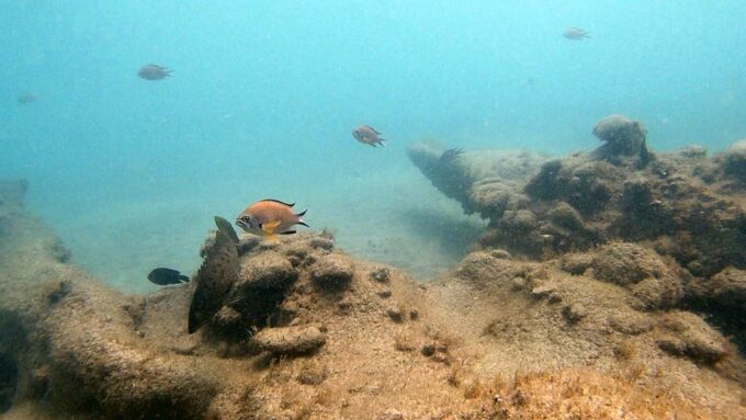 Fuerteventura: Discover Scuba Diving - Itinerary Details