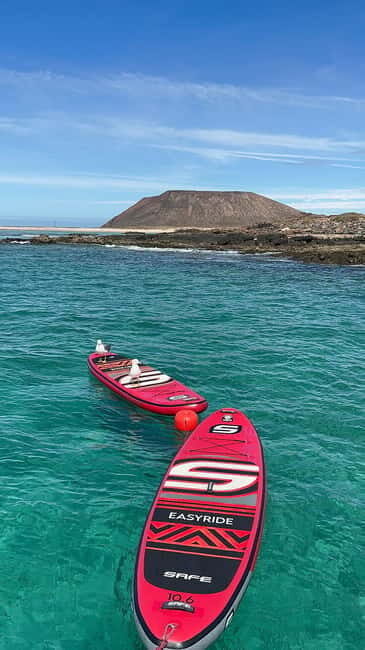 Fuerteventura: Dolphin watching and Lobo Island Combo Cruise - What’s Included and What’s Not